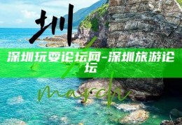深圳高端茶艺体验，品味都市中的静谧与雅致